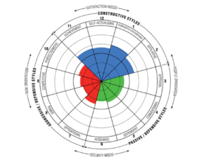 Human Synergistics Circumplex